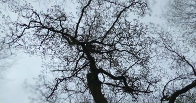 Météo de samedi : prévisions de pluie et températures douces - RTBF Actus