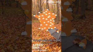 Météo du Lundi 20 Octobre : Prévisions et Alertes