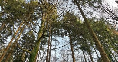 Météo en Belgique : ciel partagé ce mercredi selon RTBF Actus