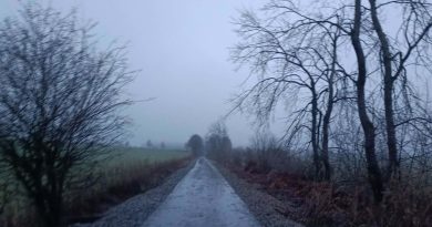 Météo en Belgique : températures douces et humidité persistante - RTBF Actus