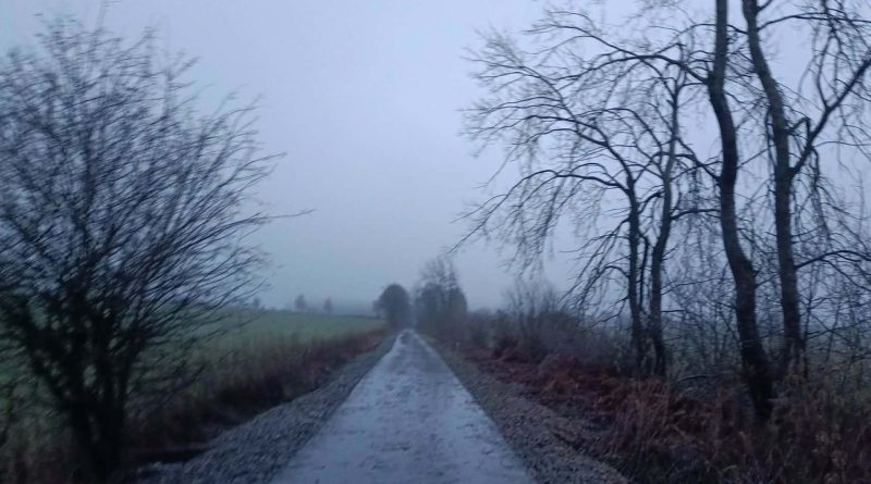 Météo en Belgique : températures douces et humidité persistante - RTBF Actus