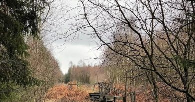 Météo en Belgique : vendredi nuageux suivi d'un week-end instable - RTBF Actus