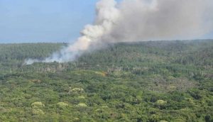 [Mise à jour] Incendie à l’île des Pins : 250 hectares partis en fumée, le plan Orsec activé