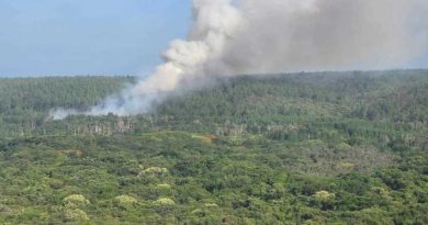 [Mise à jour] Incendie à l’île des Pins : 250 hectares partis en fumée, le plan Orsec activé