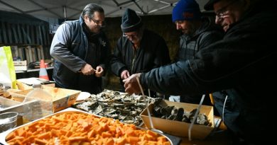 Mobilisation agricole: jour de réveillon de Noël sur les barrages du Sud-Ouest
