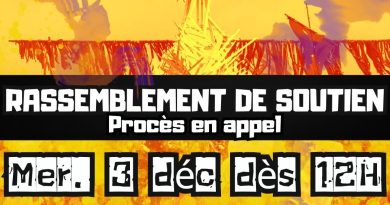 Mobilisation du 3 décembre. Procès de l’organisation de Sainte-soline. Rassemblement de soutien aux camarades en appel à Poitiers !