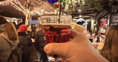 Mojito chaud aux framboises : la recette d’Hiver et de Noël  - Made In Alsace