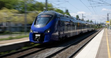 Montreux-Vieux. Un TER heurte un arbre tombé sur la voie : jusqu'à 4h de retard pour un train passant par Mulhouse et Belfort