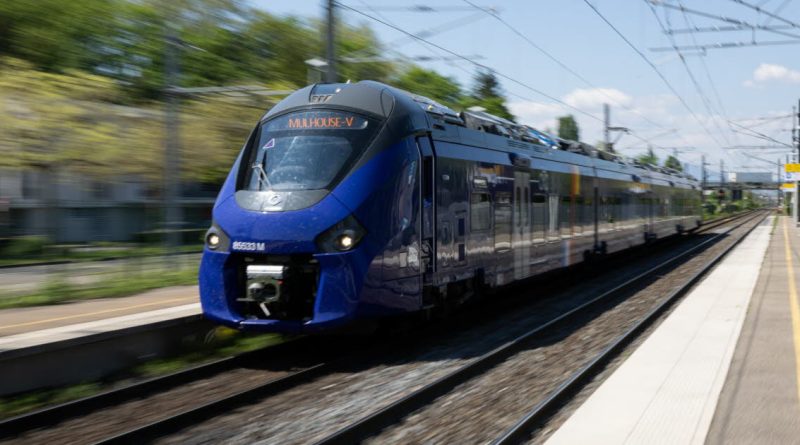 Montreux-Vieux. Un TER heurte un arbre tombé sur la voie : jusqu'à 4h de retard pour un train passant par Mulhouse et Belfort