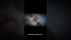 MrBeast : La Fintech pour devenir millionnaire en 2025