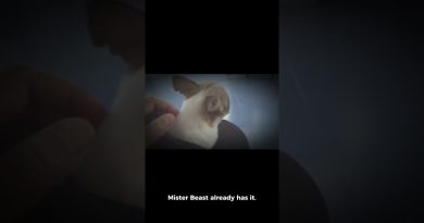 MrBeast : La Fintech pour devenir millionnaire en 2025