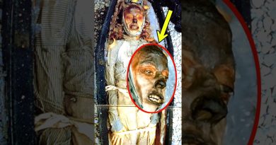 Mummy congelée : un voyage dans le temps