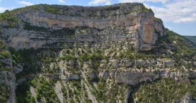 Pays de la Loire, Nantes, Angers, Loire river, castle, vineyard, coast, landscape