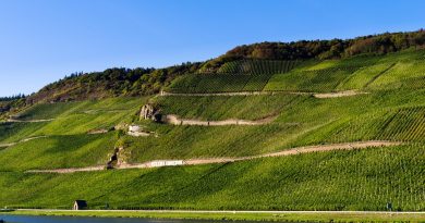 Pays de la Loire, Nantes, Angers, Loire river, castle, vineyard, coast, landscape