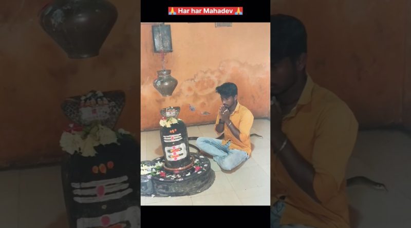 Namaha Namah Ji Shankara : Un hommage inspirant 🙏