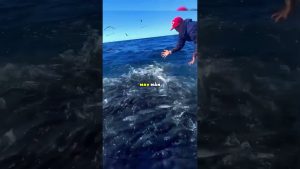 Ne capturez pas les poissons sautant vers vous ! 😲