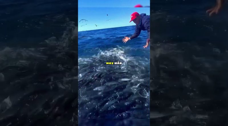 Ne capturez pas les poissons sautant vers vous ! 😲