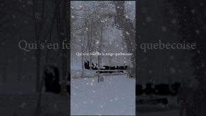 Neige : un manteau blanc recouvre le paysage