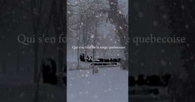 Neige : un manteau blanc recouvre le paysage