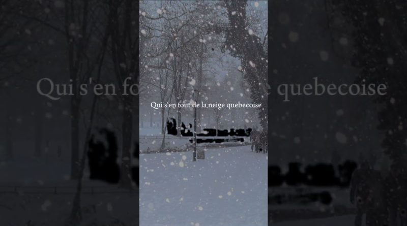 Neige : un manteau blanc recouvre le paysage