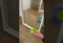 Nettoyez vos vitres gratuitement avec cette astuce DIY !