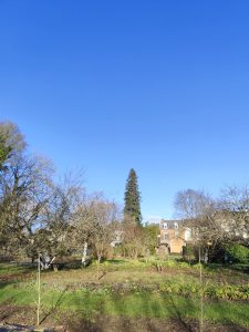 Noël presque au balcon ...