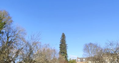 Noël presque au balcon ...