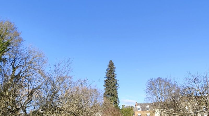 Noël presque au balcon ...