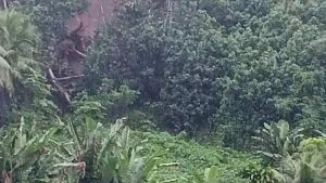 Nouveau glissement de terrain à Afaahiti : évacuation de 4 familles par mesure de sécurité