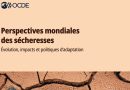 Perspectives mondiales sur les sécheresses : analyse et enjeux - Futuribles