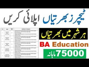 Offres d'emploi enseignants 2025 : postes seniors et juniors