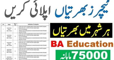 Offres d'emploi enseignants 2025 : postes seniors et juniors