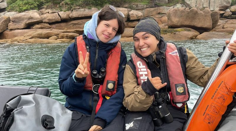 Oiseaux marins du Cap Fréhel 2025 : mission de Service Civique