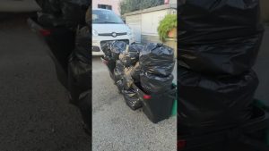 Où Jeter Tout ? Guide Pratique du Recyclage Plastique