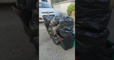 Où Jeter Tout ? Guide Pratique du Recyclage Plastique