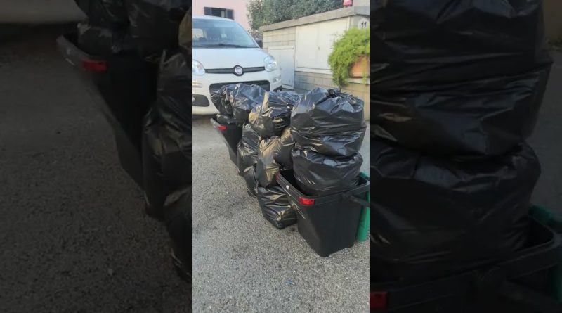 Où Jeter Tout ? Guide Pratique du Recyclage Plastique