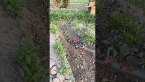 Outils Fieldstar Wolf Garten : l'essentiel du jardinage !