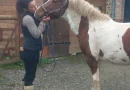 Sa passion pour les poneys Pottok l’amène à créer un gîte dans l’Orne