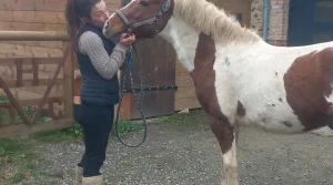 Sa passion pour les poneys Pottok l’amène à créer un gîte dans l’Orne