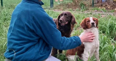 « J’ai vu beaucoup de cas différents » : il est bénévole enquêteur contre la maltraitance