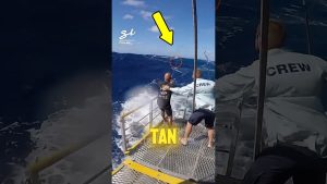 ⚠️ PESCADORES en Détresse : Un Moment Critique 😱