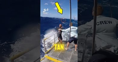 ⚠️ PESCADORES en Détresse : Un Moment Critique 😱