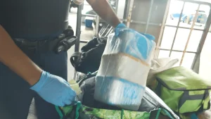 Paka et ice saisis lors d'un contrôle surprise à la gare maritime