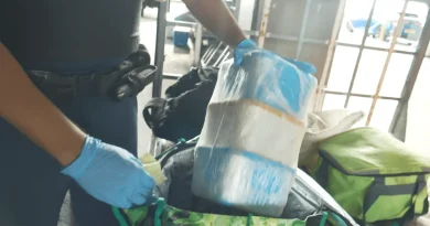 Paka et ice saisis lors d'un contrôle surprise à la gare maritime