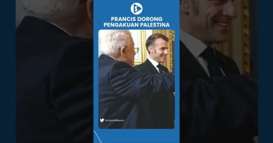 Paris prépare un gouvernement palestinien, l'Europe réagit à Israël !