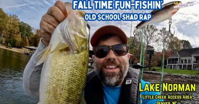 Pêche au bar avec le Rapala Shad Rap à Lake Norman