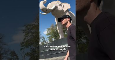 Perte de poids : délai pour les femmes de 50 ans et plus