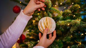 illustration agrandir l