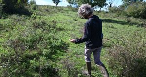 Pimorin. Projet de parc solaire : le tribunal rejette les recours des opposants, qui envisagent de faire appel