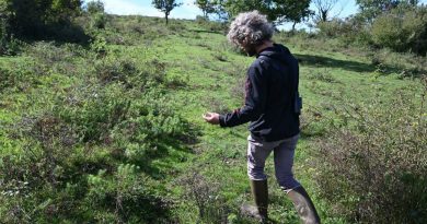 Pimorin. Projet de parc solaire : le tribunal rejette les recours des opposants, qui envisagent de faire appel